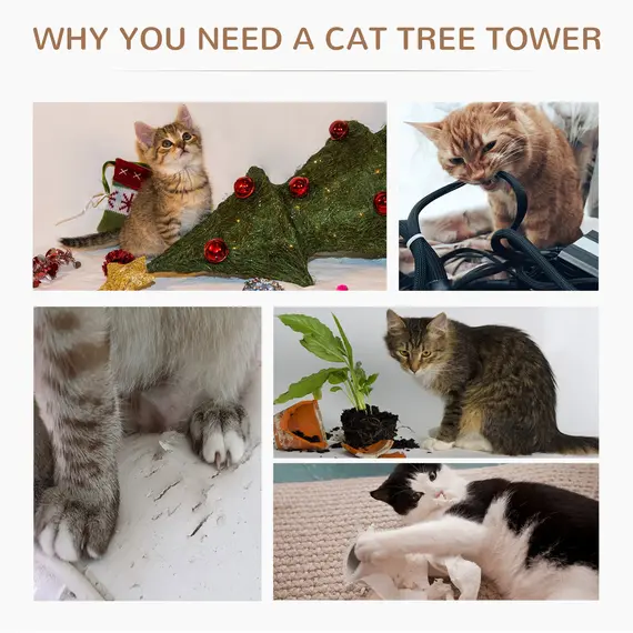 Buy 65cm Cat Tree, Cat Tower for Kittens, Small Cat Condo with Sisal Scratching Posts, Hanging Rope, Perches - Grey, 7 image