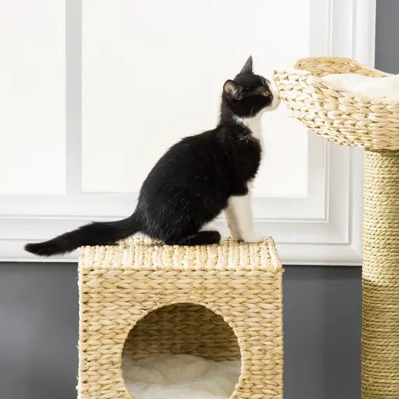 Buy Cat Tree, with Scratching Posts, Bed, Cat House - Natural Finish, 7 image