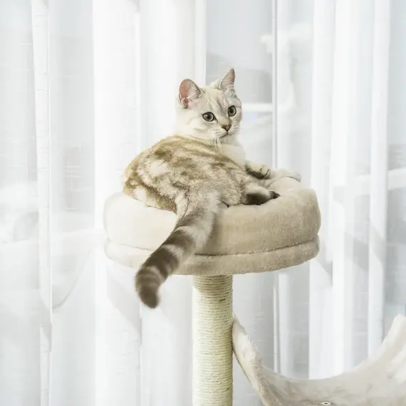 Buy Cat Tree for Indoor Cats Kitten Pet Scratching Post Perch Activity Center Scratcher Climb Post Play House Arch with Tunnel 105cm Tall Beige, 7 image