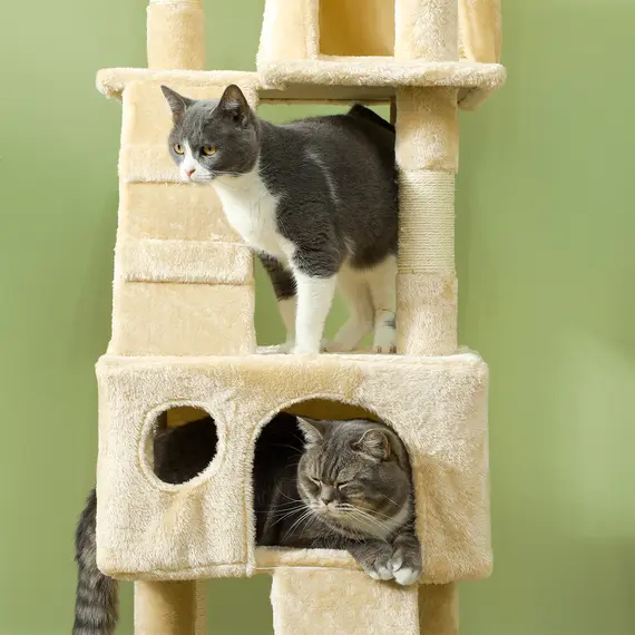 Buy Cat Tree Scratching House, Activity Play Centre, 8 image