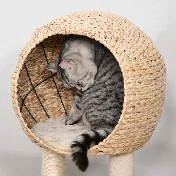 Buy Cat Tree for Indoor Cats 100cm Kitten Climbing Tower Activity Center with Sisal Scratching Post Condo Perch Hanging Balls Teasing Rope Toy Cushion, 7 image