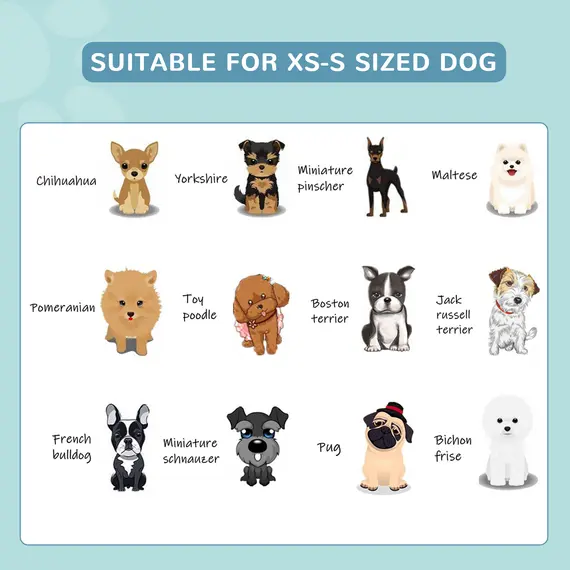 Buy Foldable Dog Paddling Pool Pet Cat Swimming Pool Indoor/Outdoor Collapsible Bathing Tub Shower Tub Puppy Î¦80 Ã— 20H cm S Sized, 7 image