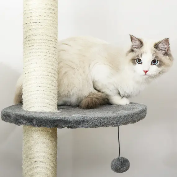 Buy Floor to Ceiling Cat Tree for Indoor Cats, Kitten Tower, Condo, Multi-Layer Activity Center, Indoor Pet Play House with Solid Scratching Post Hanging Balls, Light Grey, 9 image