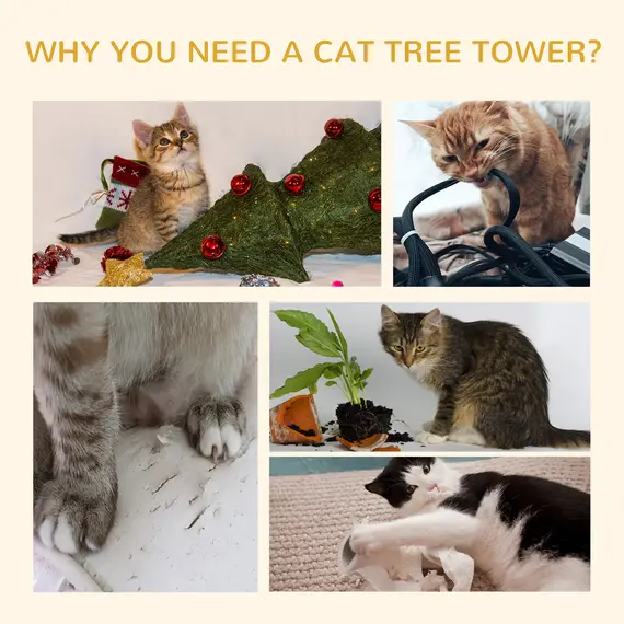 Buy Floor-to-Ceiling Cat Tree for Indoor Cats, 240-260cm Adjustable Cat Tree - Dark Grey, 6 image