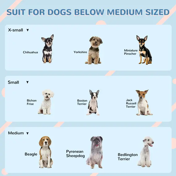 Buy Plastic Weather-Resistant Dog House, for Indoors and Outdoors, Medium Dogs - White and Blue, 7 image