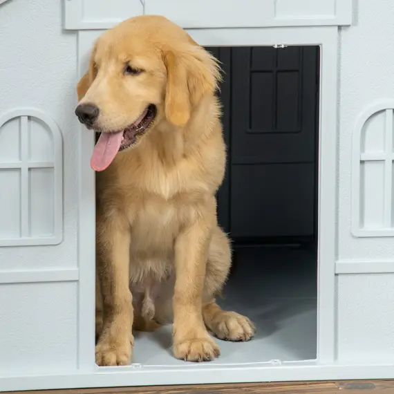 Buy Plastic Weather-Resistant Dog House, for Indoors and Outdoors, Large Dogs - White and Blue, 8 image