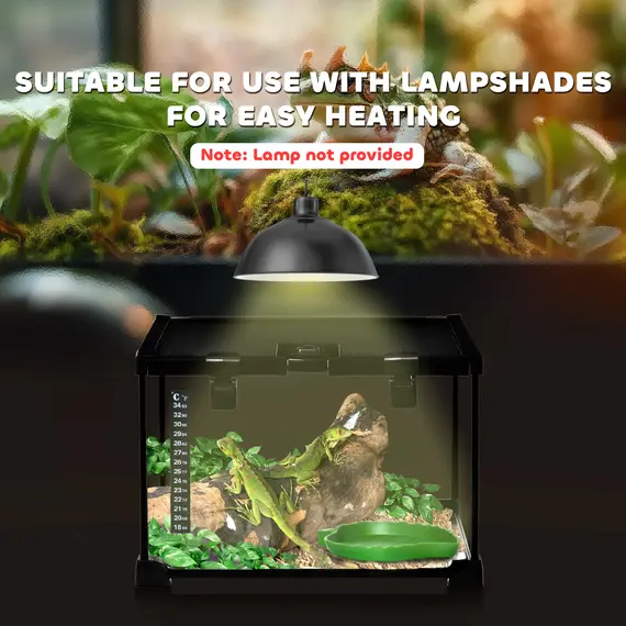 Buy Glass Reptile Terrarium Insect Breeding Tank Vivarium Habitats with Thermometer for Lizards, Horned Frogs, Snakes, Spiders - Small 30 x 30 x 20cm, 8 image