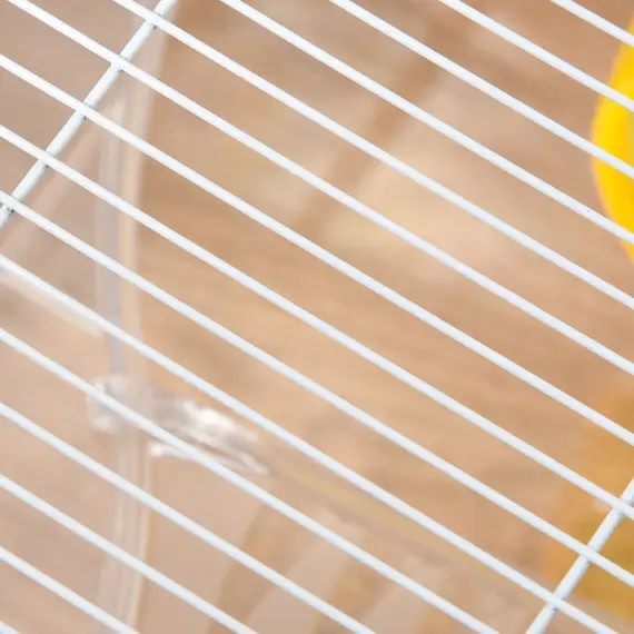 Buy Hamster Cage, 2 Tier Gerbil Cage with Running Wheel, Water Bottle, Dish, 9 image