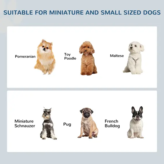 Buy Raised Dog Feeding Bowls with Stand, Stainless Steel for  Extra Small and Small Dog, 44L x 24W x 15H cm - White, 6 image
