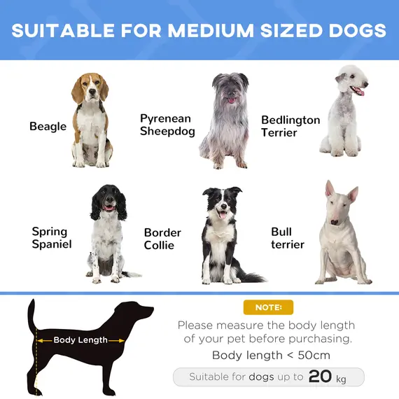 Buy Raised Dog Bed Cat Elevated Lifted Portable Camping w/ Metal Frame Blue (Medium), 4 image