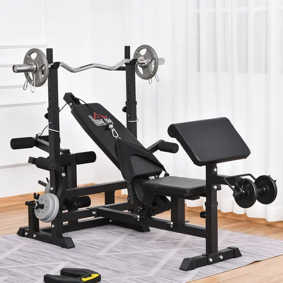 Buy Multi-Exercise Full-Body Weight Rack with Bench Press, Leg Extension, Chest Fly Resistance Band & Preacher Curl, 2 image