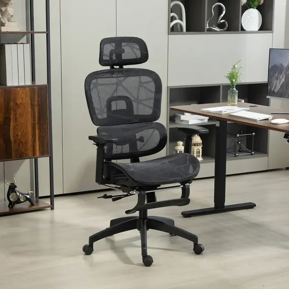 Buy Multi-Adjustable Mesh Office Chair - Black, 2 image