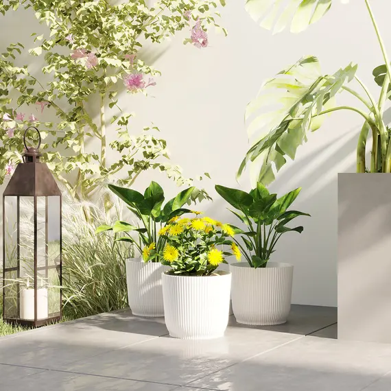 Buy Set of Three Ð¤22cm Planters - White, 2 image