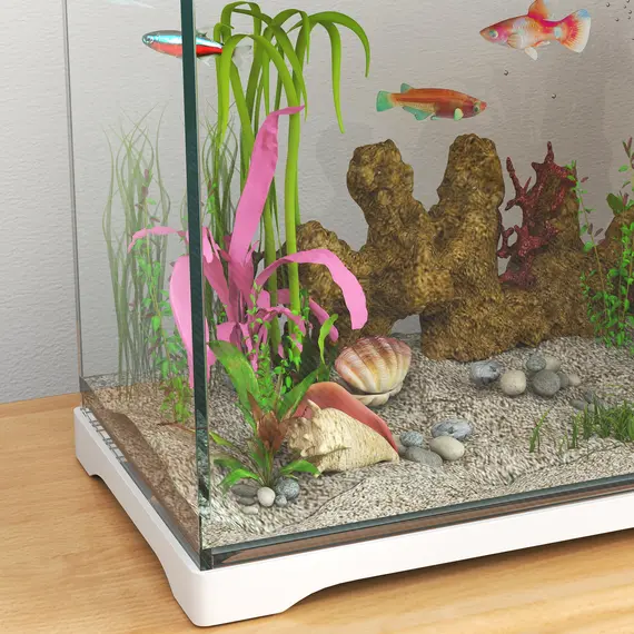 Buy 17L Glass Fish Tank with Filter System, LED Light, Water Pump, for Betta, Goldfish, Shrimps, White, 9 image