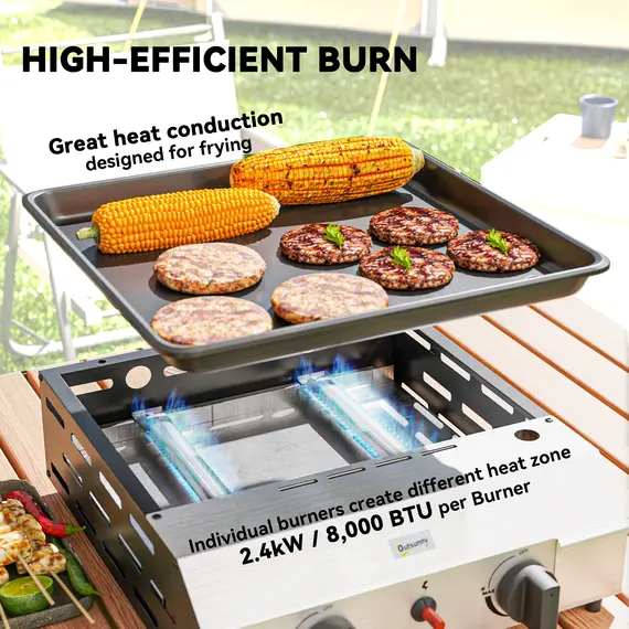 Buy Two Burner Portable Gas Grill, 4 image