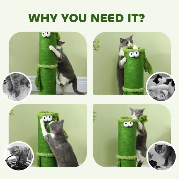Buy 63cm Cat Scratching Post for Indoor Cats, with Sisal Rope Cover, Large Base, Green, 6 image