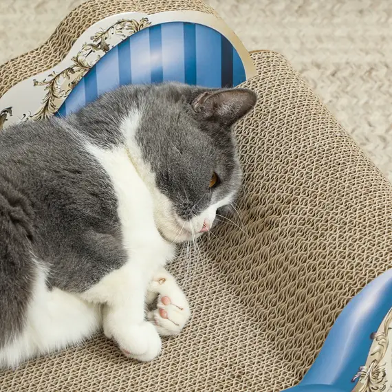 Buy 2-in-1 Cat Scratching Board with Catnip for Indoor Cats, 26.5 x 57 x 26.5cm, Blue, 9 image