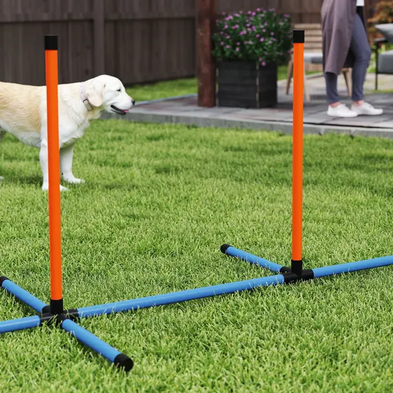 Buy 6-Piece Dog Agility Equipment Set with Weave Poles, Jump Ring, Hurdle, Pause Box, Bag, Orange, 9 image