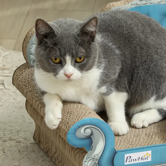 Buy 2-in-1 Cat Scratcher with Catnip for Indoor Cats, Light Blue, 8 image