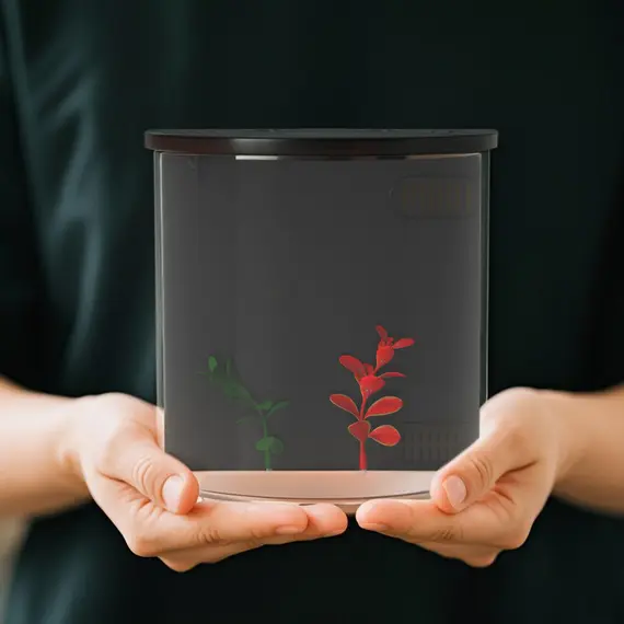 Buy 3L Small Fish Tank with Filter System, LED Light, Small Fish Tank for Betta, Goldfish, Shrimp, Black, 8 image