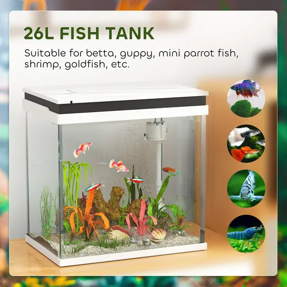 Buy 26L Glass Fish Tank with Filter System, LED Lights, Water Pump, White, 5 image