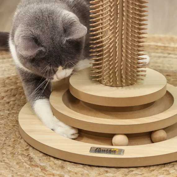 Buy 49cm 5 in 1 Cat Scratching Post with Sisal Post, Track Ball, Self Grooming Brush, Hanging Toy Ball, Feather, Oak Tone, 7 image