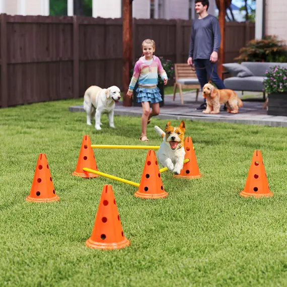 Buy Dog Agility Equipment Set of Six Cones, Six Poles with Carry Bag, Three-Piece Adjustable Height Jumping Obstacles, Orang, 2 image