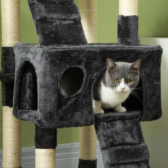 Buy Cat Tree Scratching House, Activity Play Centre, 9 image