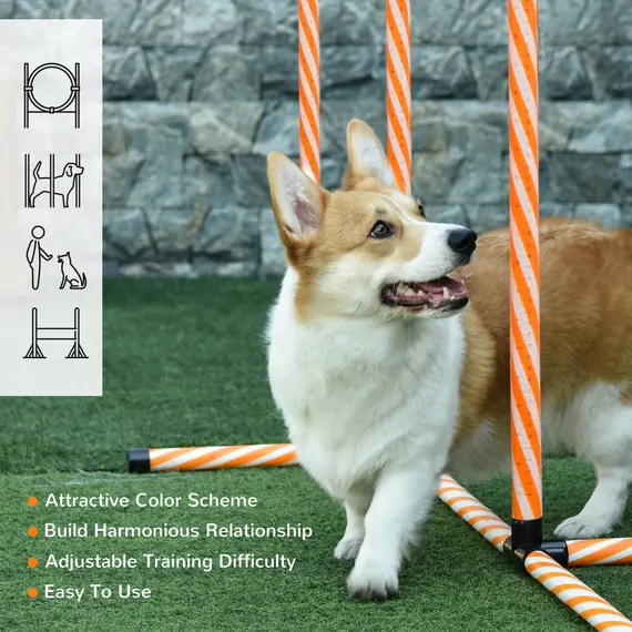 Buy Dog Agility Equipment Pet Training Set with Adjustable Height Jump Ring Hurdle Whistle Weave Poles Square Pause Box Carry Bag, 7 image