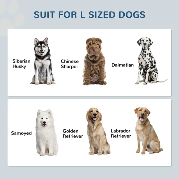Buy Raised Dog Bowls, Pet Feeding Station, with Storage, Food and Water Bowls, for Large Dogs - White, 7 image