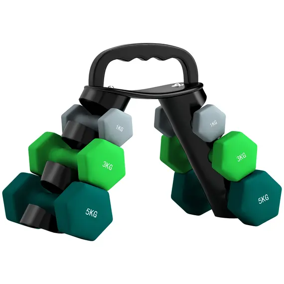 Buy  Dumbbells Set with Carry Storage Rack, Set of 6 Weights for Home Gym Kettlebell Training Weight Lifting Exercise, 2 x 1kg, 2 x 3kg, 2 x 5kg