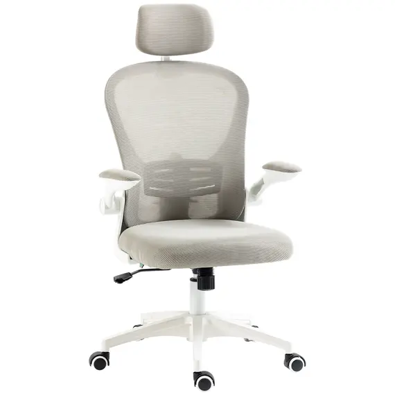 Buy Multi-Adjustable Office Chair, with Lumbar Support, Headrest and Mesh Back - Grey