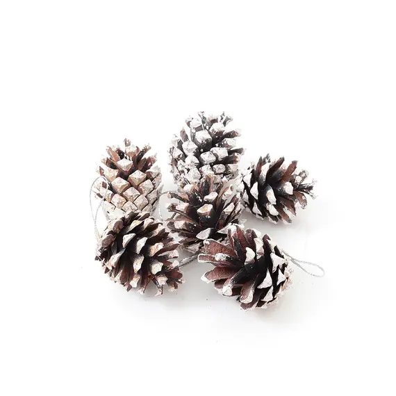 Buy 30-Piece White-Tipped Real Pine Cone Ornament Set, 4 image