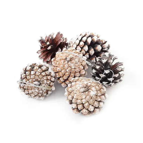 Buy 30-Piece White-Tipped Real Pine Cone Ornament Set, 5 image