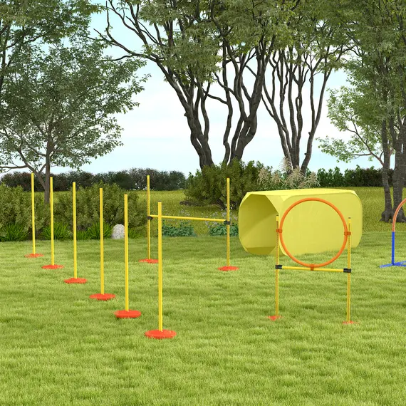 Buy Pawhut Dog Agility Equipment Portable Pet Training Obstacle Set for Dogs 5 Pieces w/ Adjustable High Jumping Pole, Jumping Ring, Weave Poles, Tunnel, 9 image