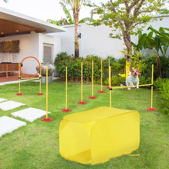 Buy Pawhut Dog Agility Equipment Portable Pet Training Obstacle Set for Dogs 5 Pieces w/ Adjustable High Jumping Pole, Jumping Ring, Weave Poles, Tunnel, 2 image