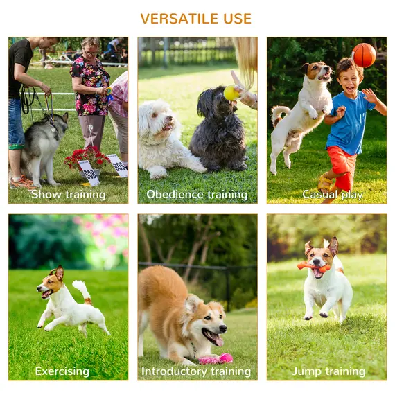 Buy Pawhut Dog Agility Equipment Portable Pet Training Obstacle Set for Dogs 5 Pieces w/ Adjustable High Jumping Pole, Jumping Ring, Weave Poles, Tunnel, 5 image