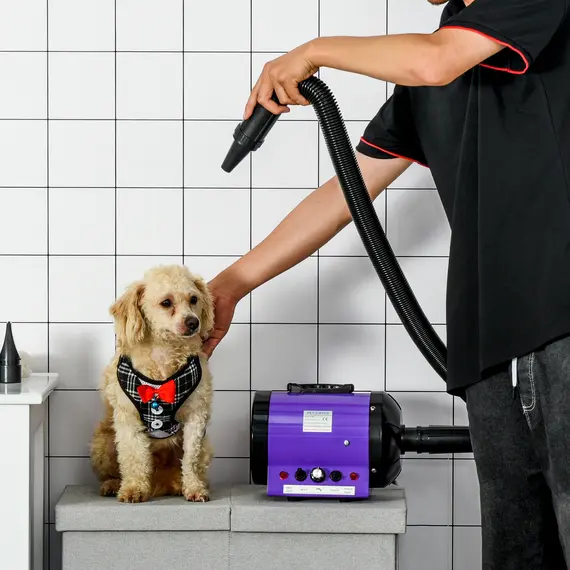 Buy Dog Hair Dryer Pet Grooming Blaster Dryer Blower Adjustable Temperature Speed with 2.1M Flexible Hose 3 Nozzles - Purple, 2 image