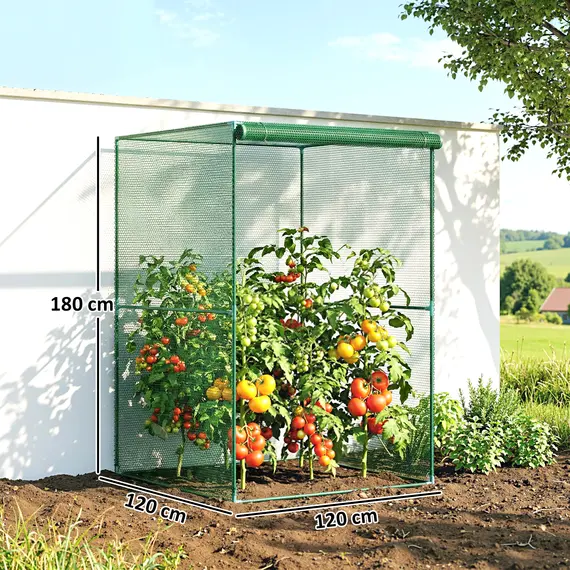 Buy 120 x 120cm Compact Plant Cage, with Netting - Green, 3 image