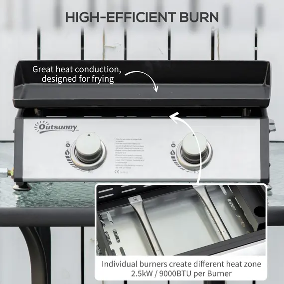 Buy Gas Plancha Barbecue Grill with 2 Stainless Steel Burner, 5kW, Portable Tabletop Gas BBQ with Non-Stick Griddle for Camping Picnic Garden Party Festival, 4 image