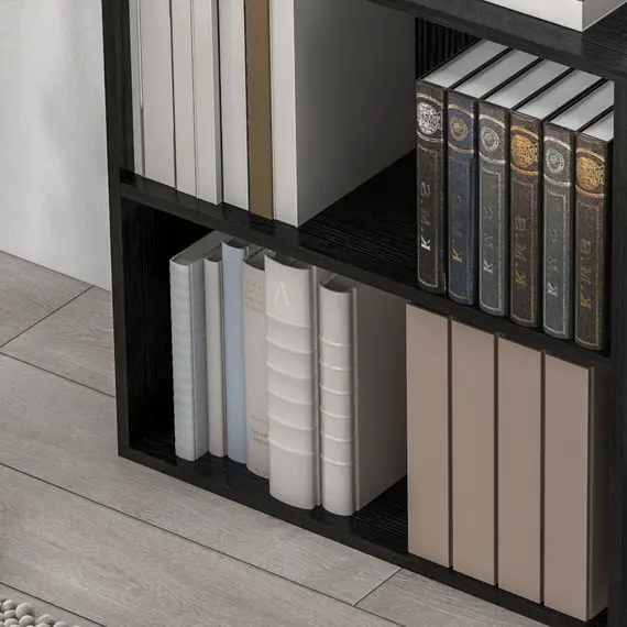 Buy 2 Tier Bookshelf, Low Bookcase with Adjustable Shelf, 2 Compartments for Home Office, Living Room, Study, Black, 9 image
