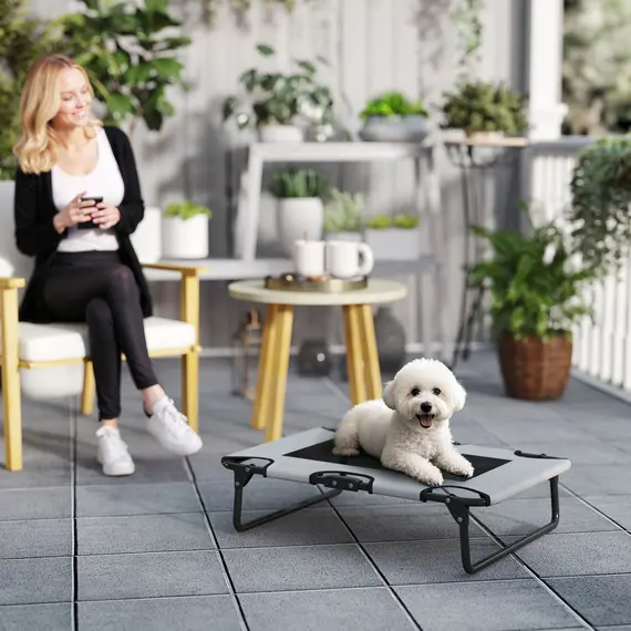 Buy PawHut Portable Raised Dog Bed, Elevated Pet Cot with Breathable Mesh for Indoor Outdoor, for Small Medium Dogs, Light Grey, 2 image