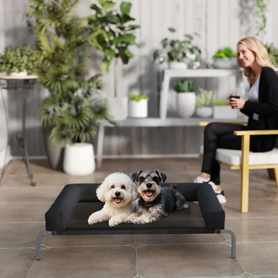 Buy PawHut Elevated Dog Bed with Removable Bolsters, Raised Dog Bed for Medium Breeds, Portable Indoor & Outdoor Pet Cots, Black, 9 image