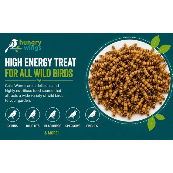 Buy Premium Wild Bird Food 5L Refill, (5L Bag, Calci Worms) | Refill, 5 image