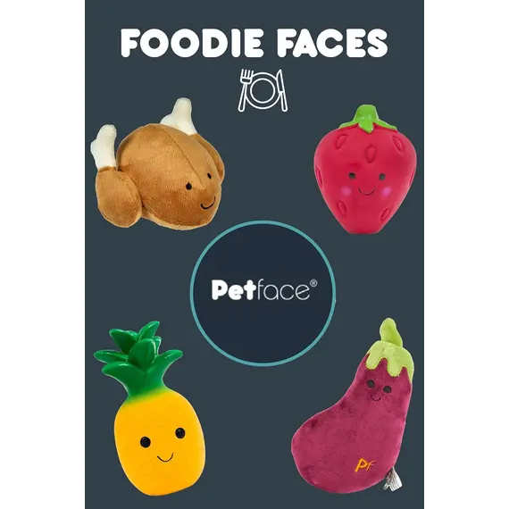 Buy Petface Foodie Faces Roast Chicken Plush Dog Toy, 6 image