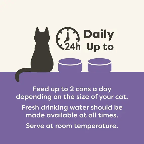 Buy Applaws Natural Wet Cat Food, Multipack Chicken and Fish Selection in Broth 70 g Tin (Pack of 12), 5 image