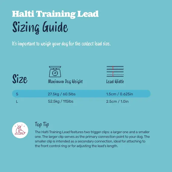 Buy Halti Training Lead for Dogs | Size Large, Black, 2m | No-Pull Double-Ended Dog Lead | Light, Soft & Durable | Ideal for Obedience Training & Everyday Walks with Dogs & Puppies, 5 image