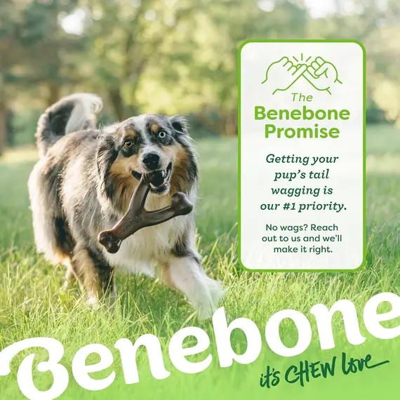 Buy Benebone Wishbone Dog Chew Toy for Aggressive Chewers, Real Bacon, Medium, 6 image