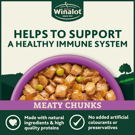 Buy WINALOT Meaty Chunks Mixed in Jelly Wet Dog Food 80x100g, 4 image