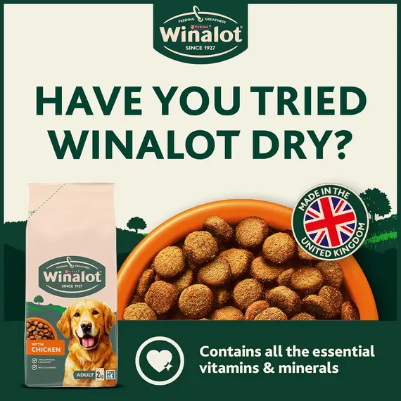 Buy WINALOT Meaty Chunks Mixed in Jelly Wet Dog Food 40x100g, 8 image